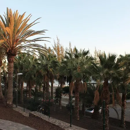 Apartamento Testeina San Agustin
